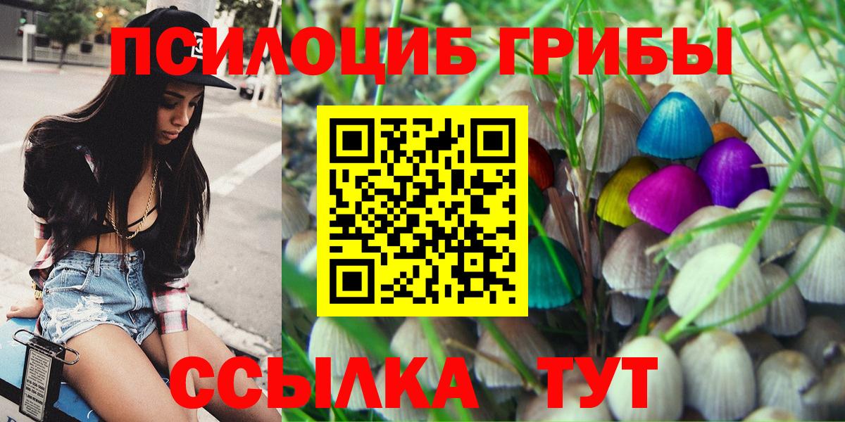 Галлюциногенные грибы прущие грибы Фурманов